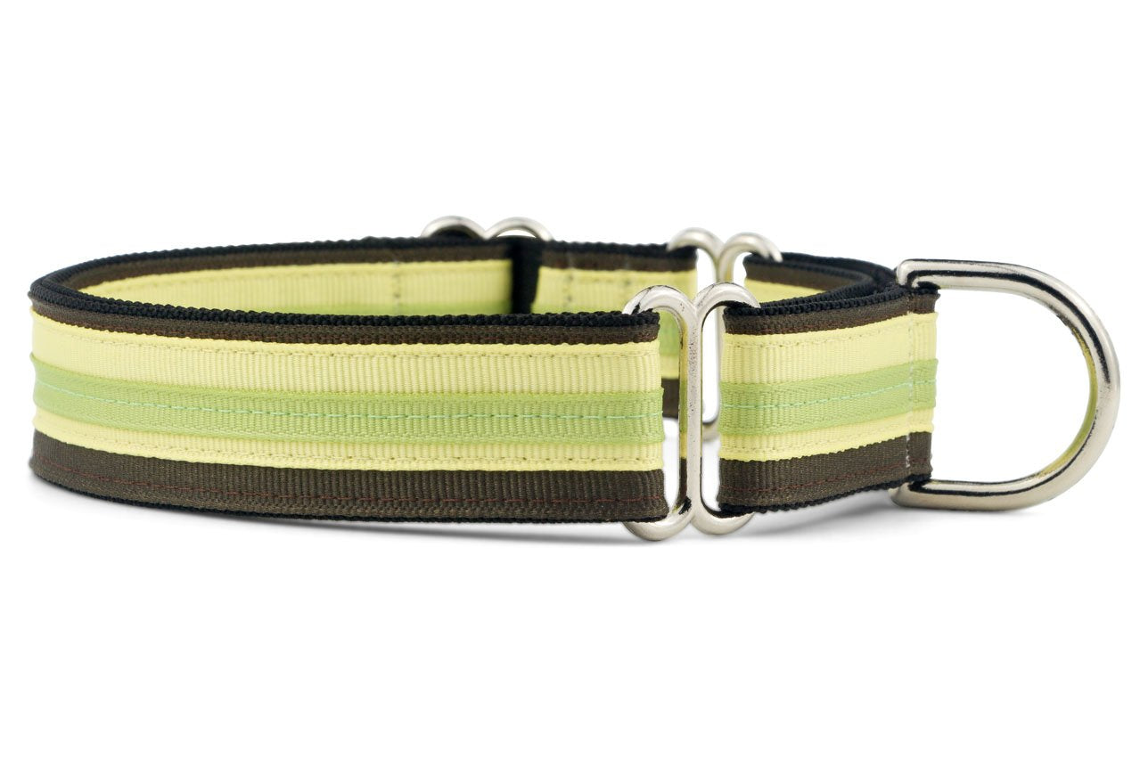 If It Barks 1 Martingale Collar For Dogs, Adjustable Nylon, Usa Made, Small, Key Lime Pie