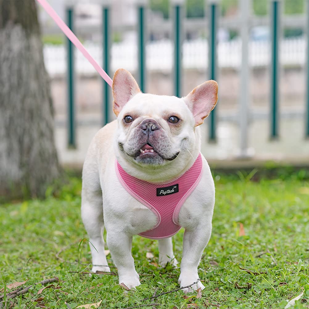 Pupteck Soft Mesh Dog Harness And Leash Set Pet Puppy Cat Comfort Padded Vest No Pull Harnesses, Solid Pink, S