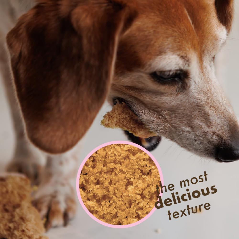 Puppy Cake Dog Birthday Cake Kit - Complete Cake Mix, Icing Mix, Candle, and Silicone Pan - Peanut Butter Flavor - Bake or Micro