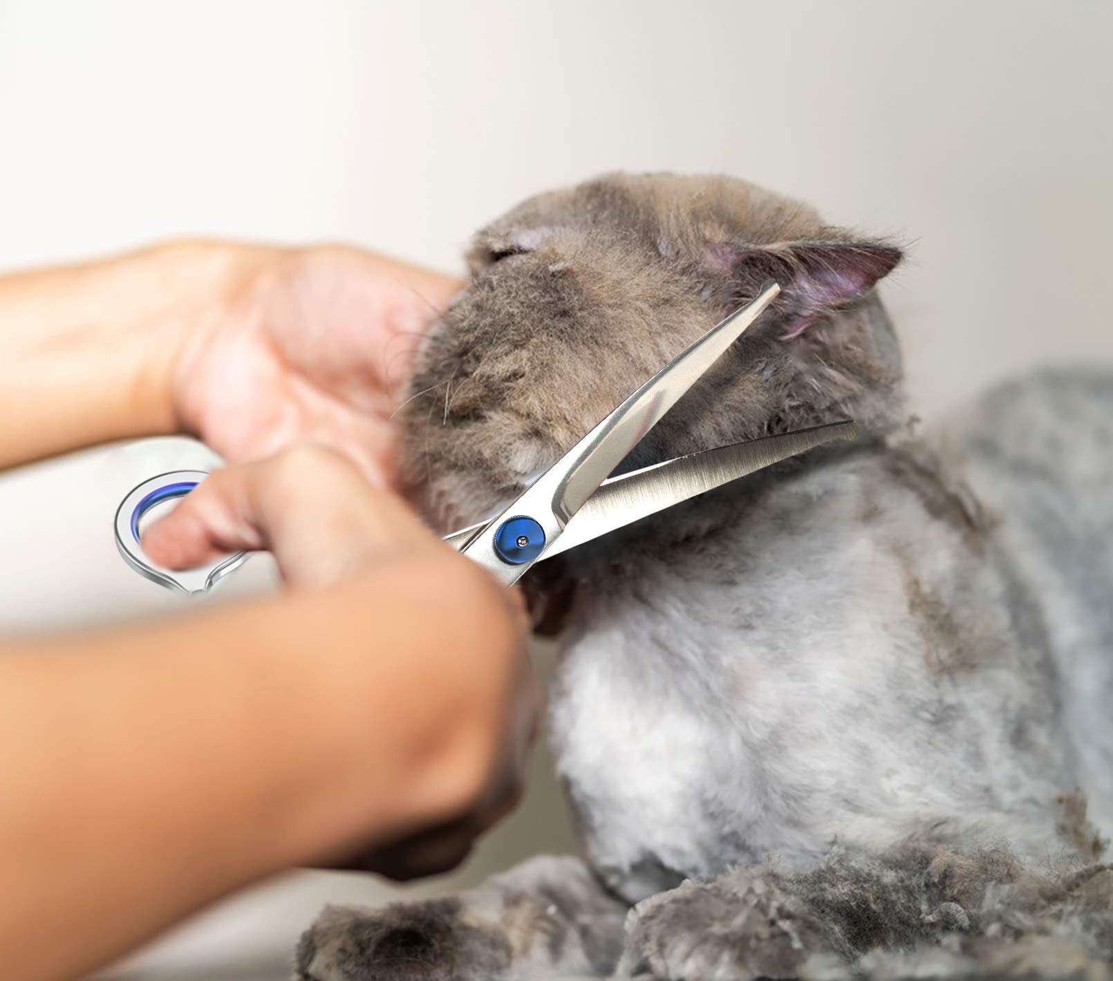 Petsvv 7.5'' Curved Dog Grooming Scissors With Safety Round Tips, Light Weight Professional Pet Grooming Shears Stainless Steel