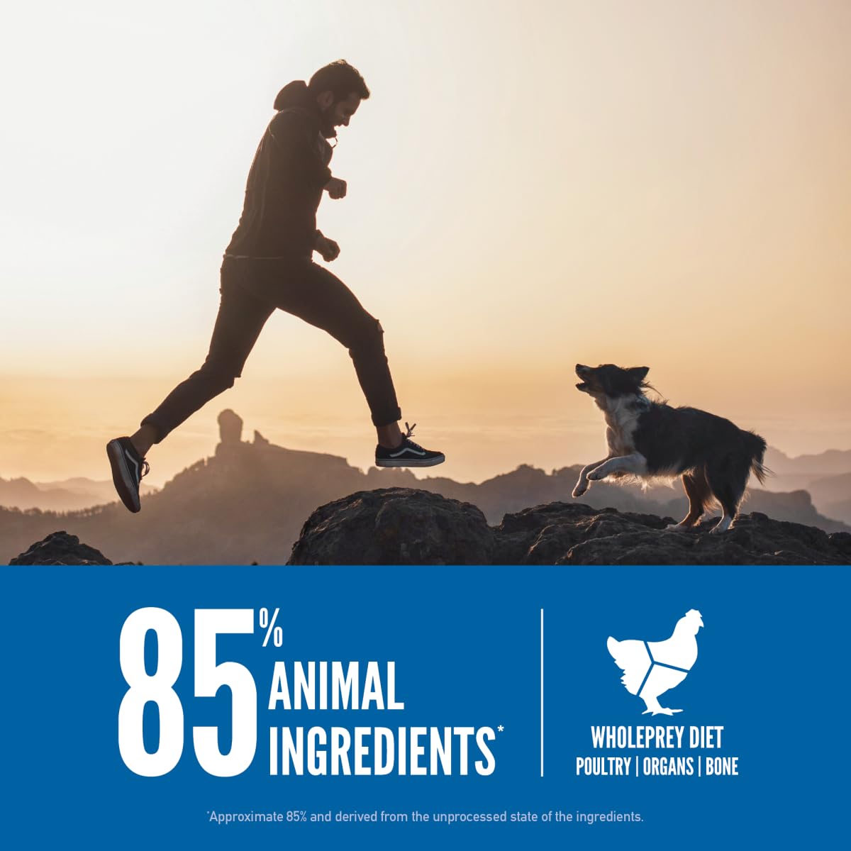 ORIJEN Dog Original Recipe, 13lb, High-Protein Grain-Free Dry Dog Food, Packaging May Vary