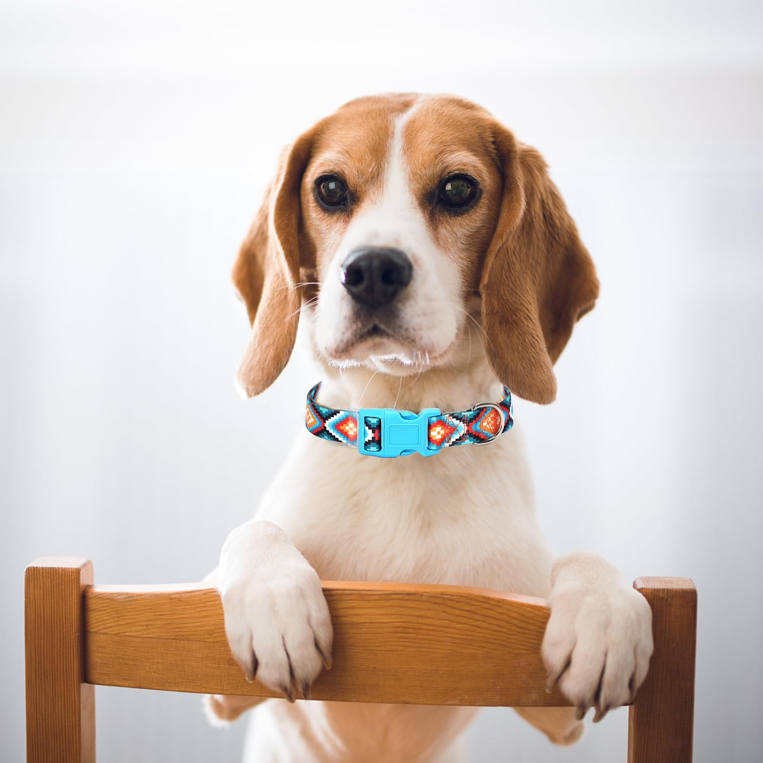 Dog Collar For Small Dogs With Blue African Tribal Mexican Native Boho Pattern, Adjustable Pet Collars For Girl Boy Puppy Dogs X