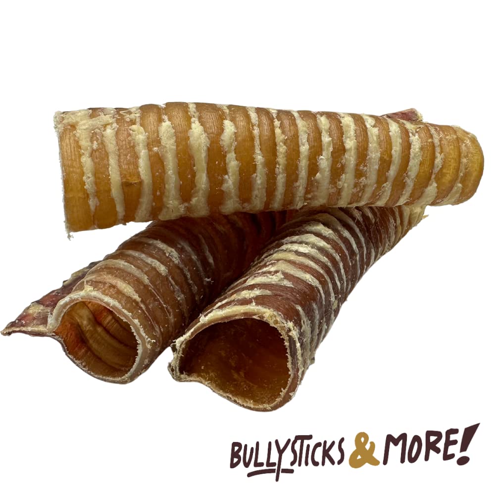 BULLYSTICKS & MORE 6 Inch Beef Trachea (6 Inch - 6 Pack) | Beef Trachea for Dogs | 100% Grass Fed Beef | Dog Parents Choice Beef