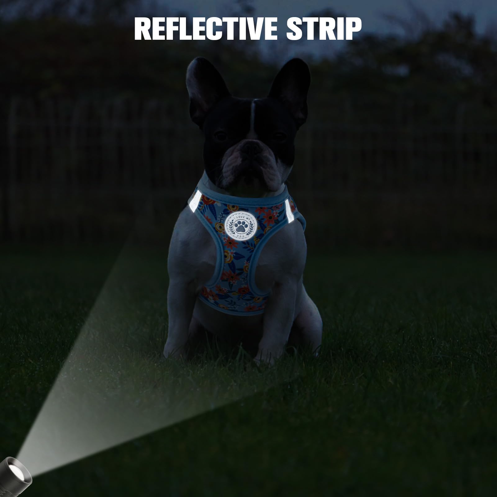 Beautyzoo Step In Dog Harness And Leash Set, Floral Pattern Reflective No Pull No Choke Puppy Harness For Small Medium Large Dog