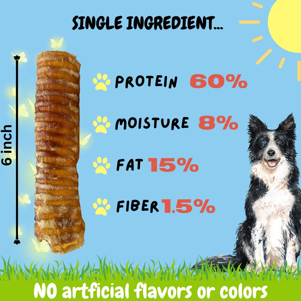 BULLYSTICKS & MORE 6 Inch Beef Trachea (6 Inch - 6 Pack) | Beef Trachea for Dogs | 100% Grass Fed Beef | Dog Parents Choice Beef