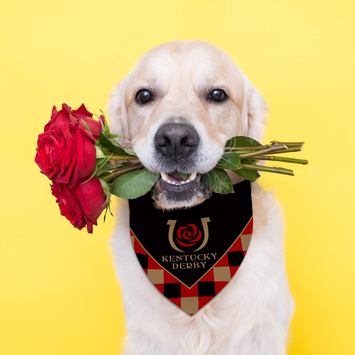 Derby Dog Bandana Kentucky Run For The Roses Dog Scarf Adjustable Accessories For Small Medium Dogs Cats Pets