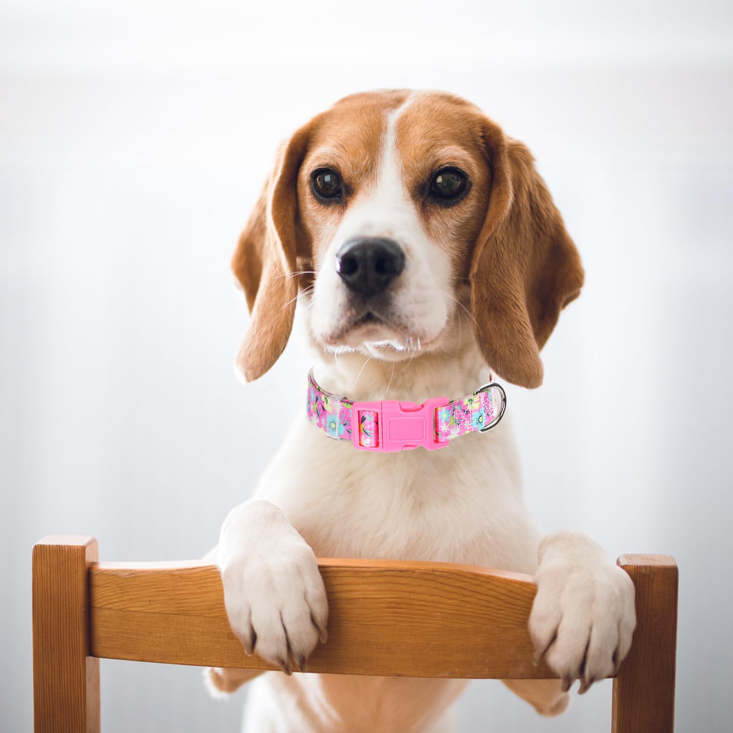 Girl Dog Collars for Small Dogs, Cute Girl Pink Dog Collar with Boho Flowers Patterns, Adjustable Comfy Soft Durable Pet Collar