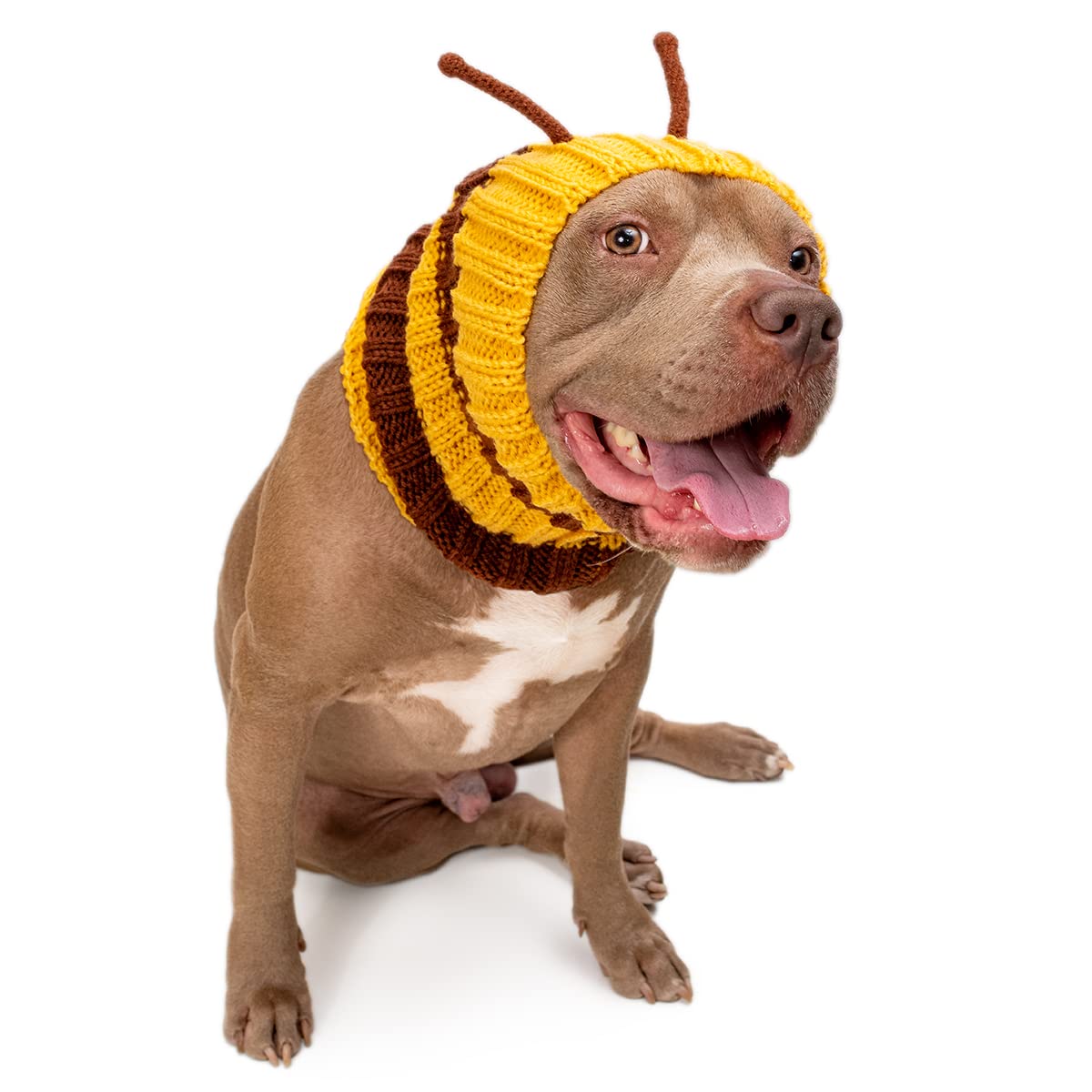 Zoo Snoods Bee Costume for Dogs, Large - Warm No Flap Ear Wrap Hood for Pets, Bumblebee Dog Outfit for Winters, Halloween, Chris