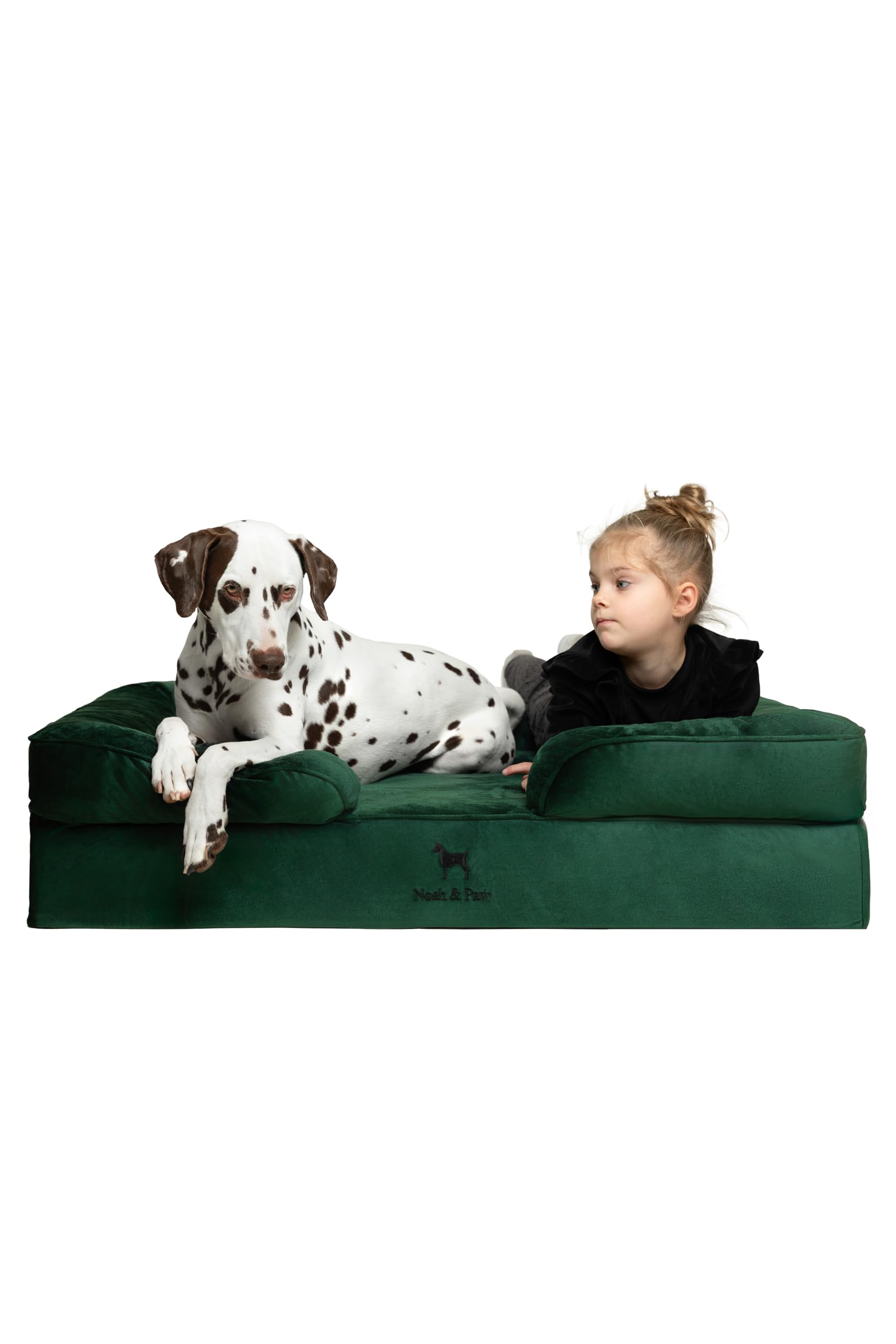 NOAH & PAW XL Dog Bed, 45x35x11 Inch, Orthopedic Large Dog Beds, Eggshell Memory Foam Infused with Cooling Gel, Inner Cover, Wat