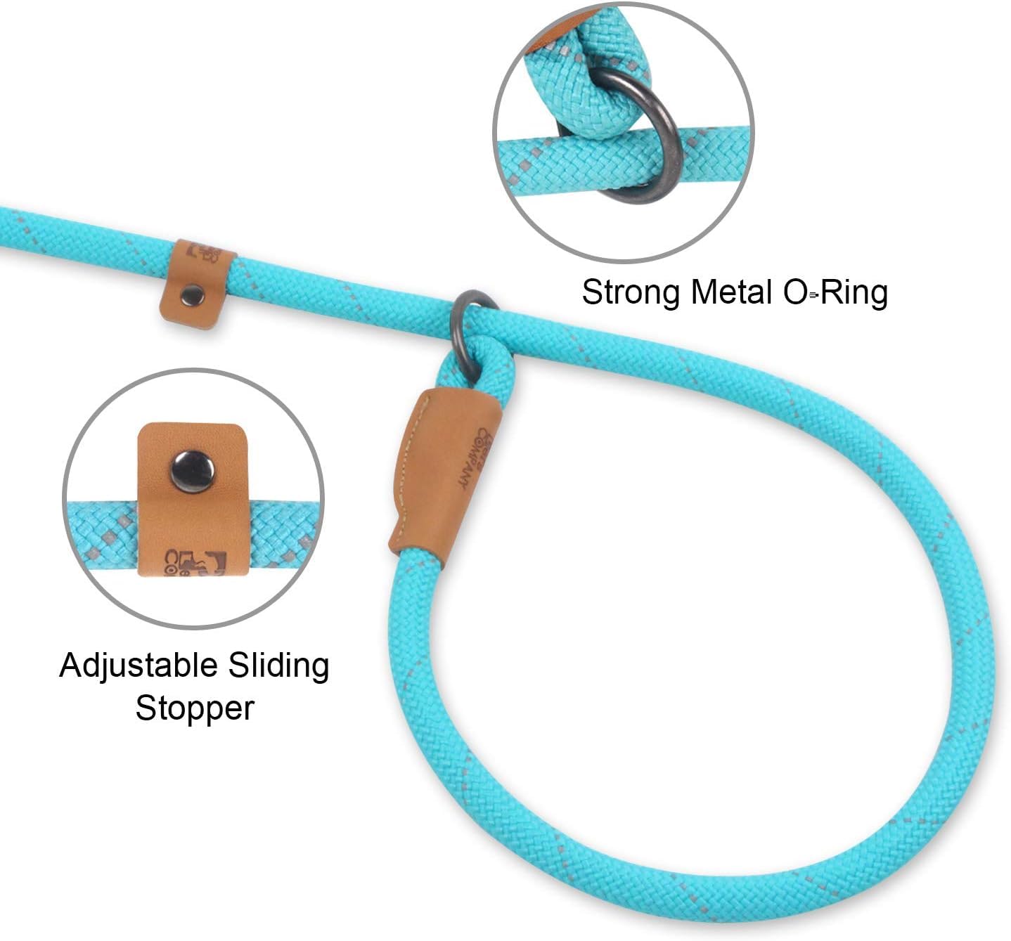 Slip Lead Dog Leash - 5Ft, 2 Sizes - Reflective Mountain Climbing Rope (Turquoise, 2/1)