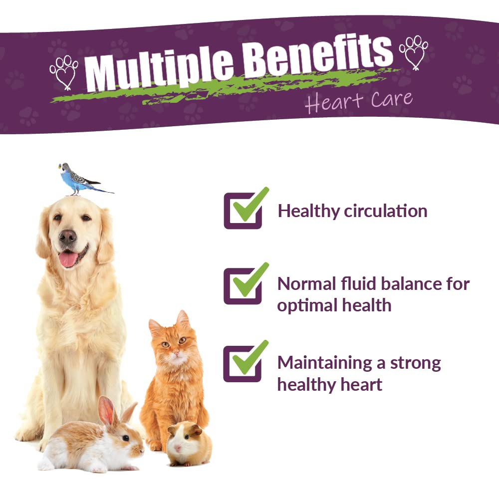 Amber NaturalZ Hawthorn and Dandelion Herbal Supplement for Dogs, Cats, Birds, Guinea Pigs, and Rabbits | Pet Herbal Supplement