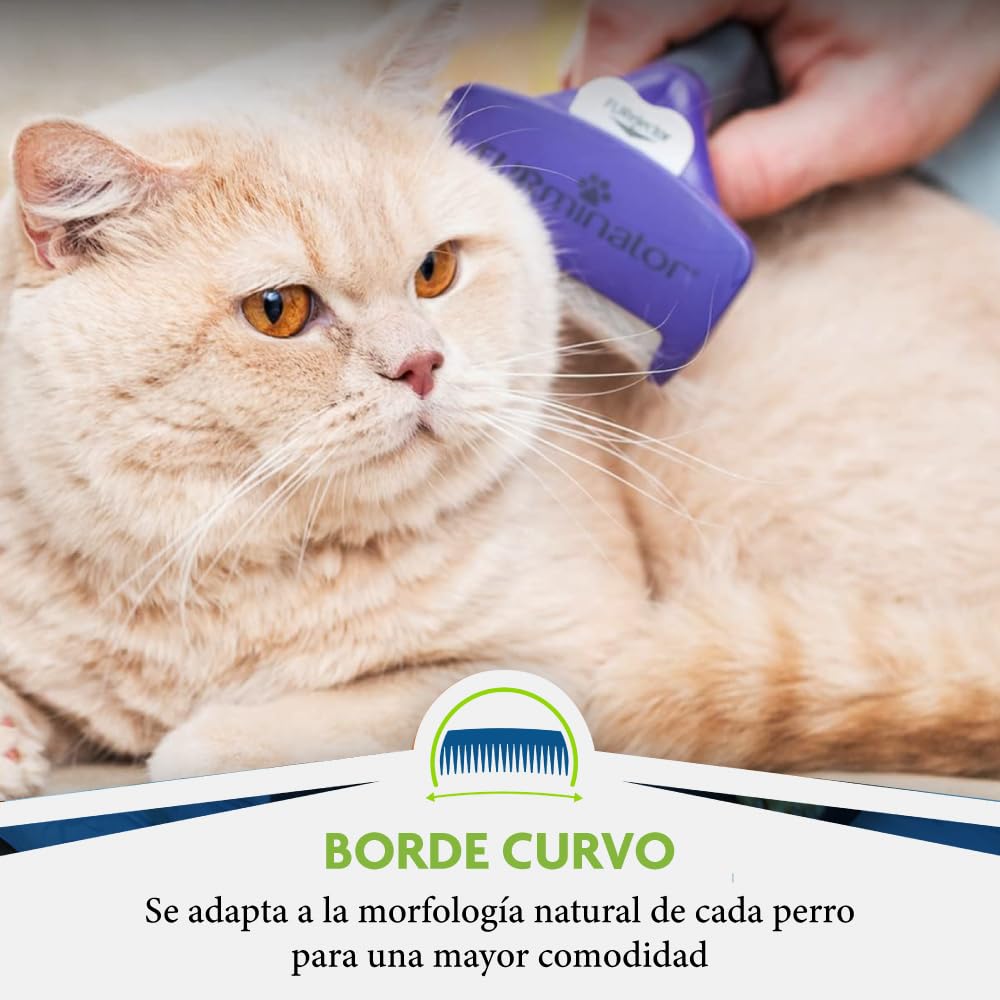 Furminator Deshedding Tool For Medium/Large Cats, Short Hair, Removes Loose Hair From Shedding