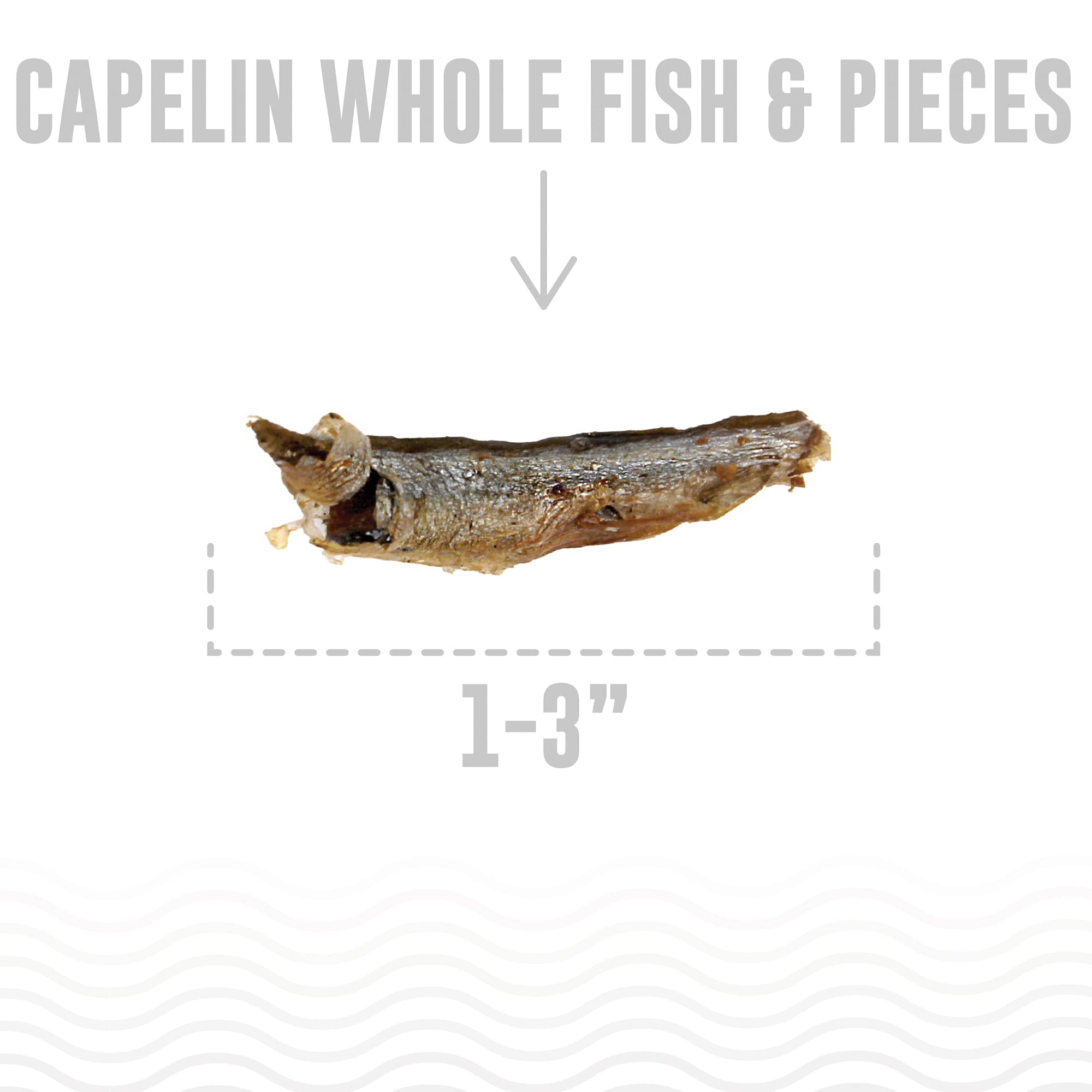 Icelandic  Capelin Whole Fish and Pieces Cat Treat 1.5Oz Bag