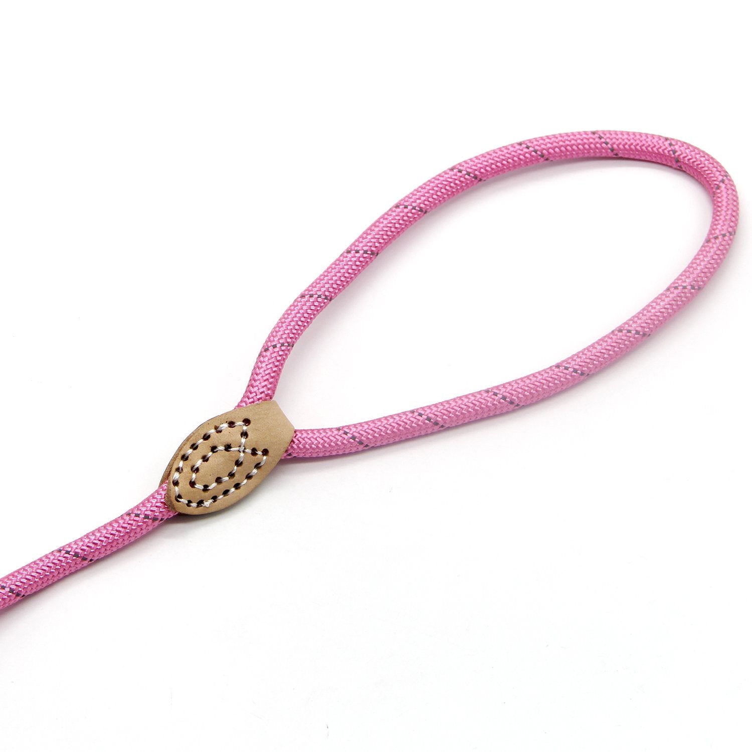 Coolrunner 5 Ft Highly Reflective Nylon Dog Leash Standard Training Adjustable Pet Slip Lead For Small And Medium Dogs(10-80 Lb)