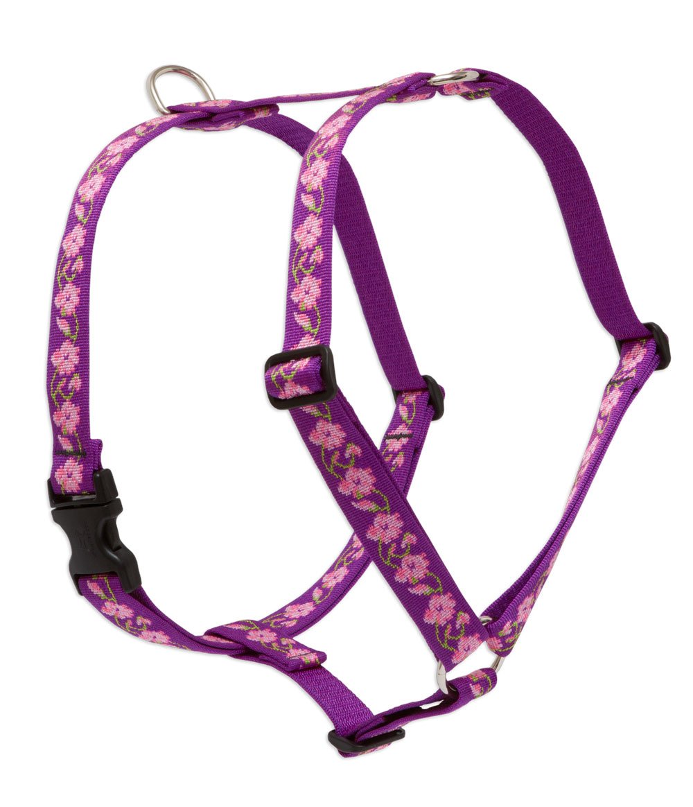 LupinePet Originals 1'' Rose Garden 20-32'' Adjustable Roman Dog Harness for Medium Dogs