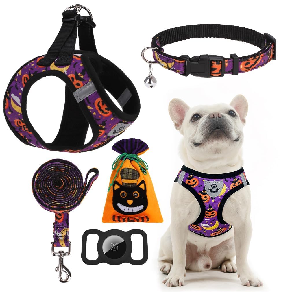 EXPAWLORER Halloween Puppy Harness - Dog Collar and Leash - Soft Mesh Padded Adjustable Step in Small Dog Vest Harness No Pull, 