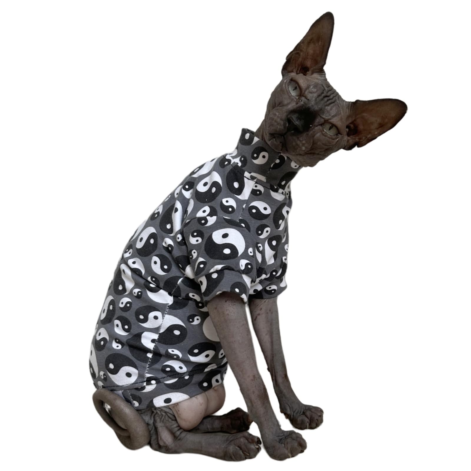 Tai Ji Feng Shui Sphynx Cat Cotton T-Shirts Hairless Cat Sweatshirt Pet Kitten Clothes Round Collar Kitten Shirts Vest Cats & Sm