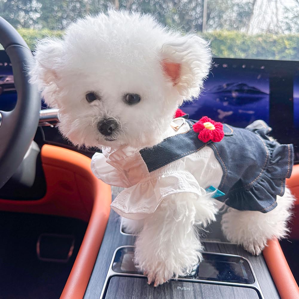 Aniac Denim Small Puppy Dress 3D Flowers Girl Dog Clothes With D-Ring And Pocket Female Cat Harness Dresses Cute Shih Tzu Yorkie