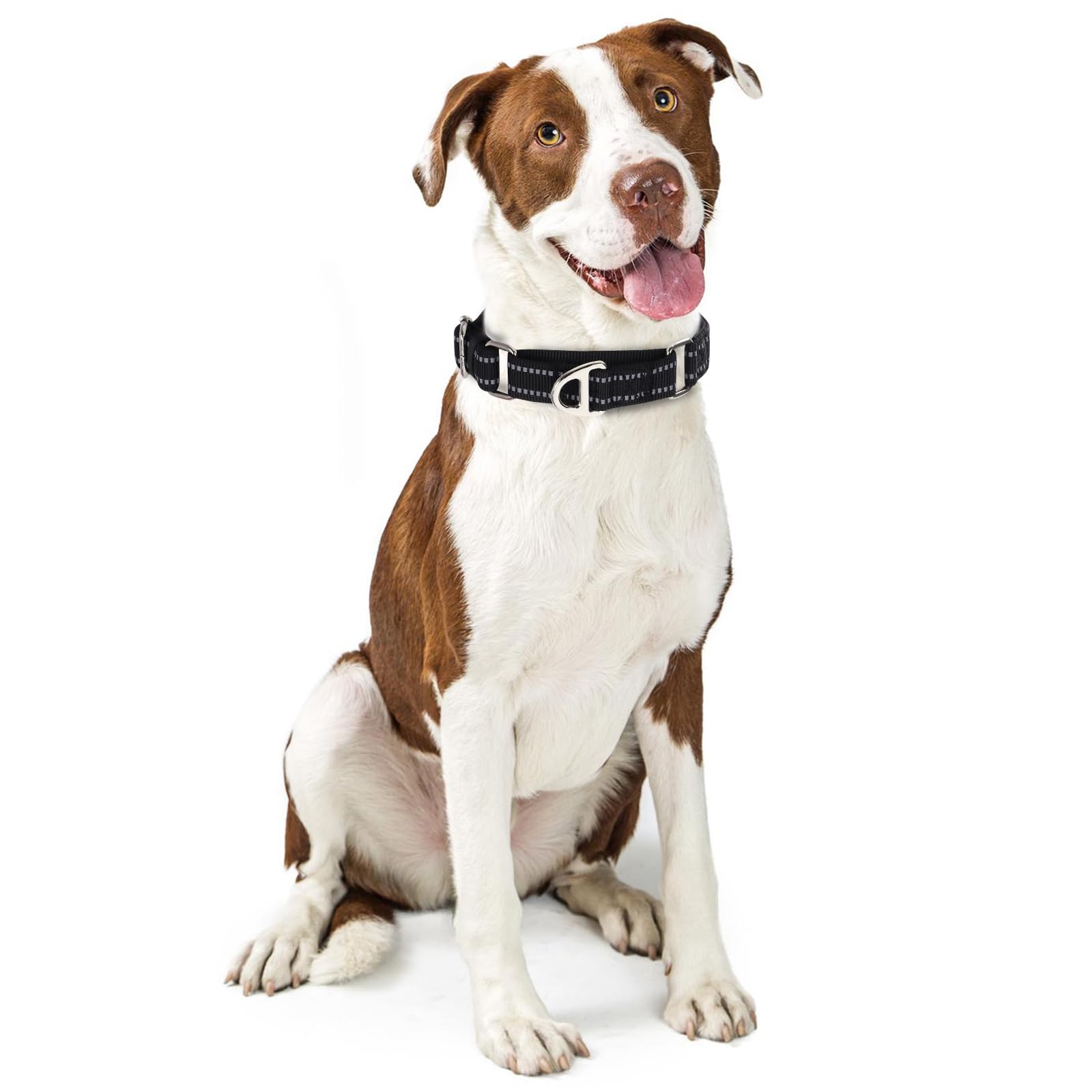 Onefojojo Martingale Collar For Large Dogs Reflective Nylon Dog Collar With No Buckle Adjustable Training No Slip Dog Collar (L,