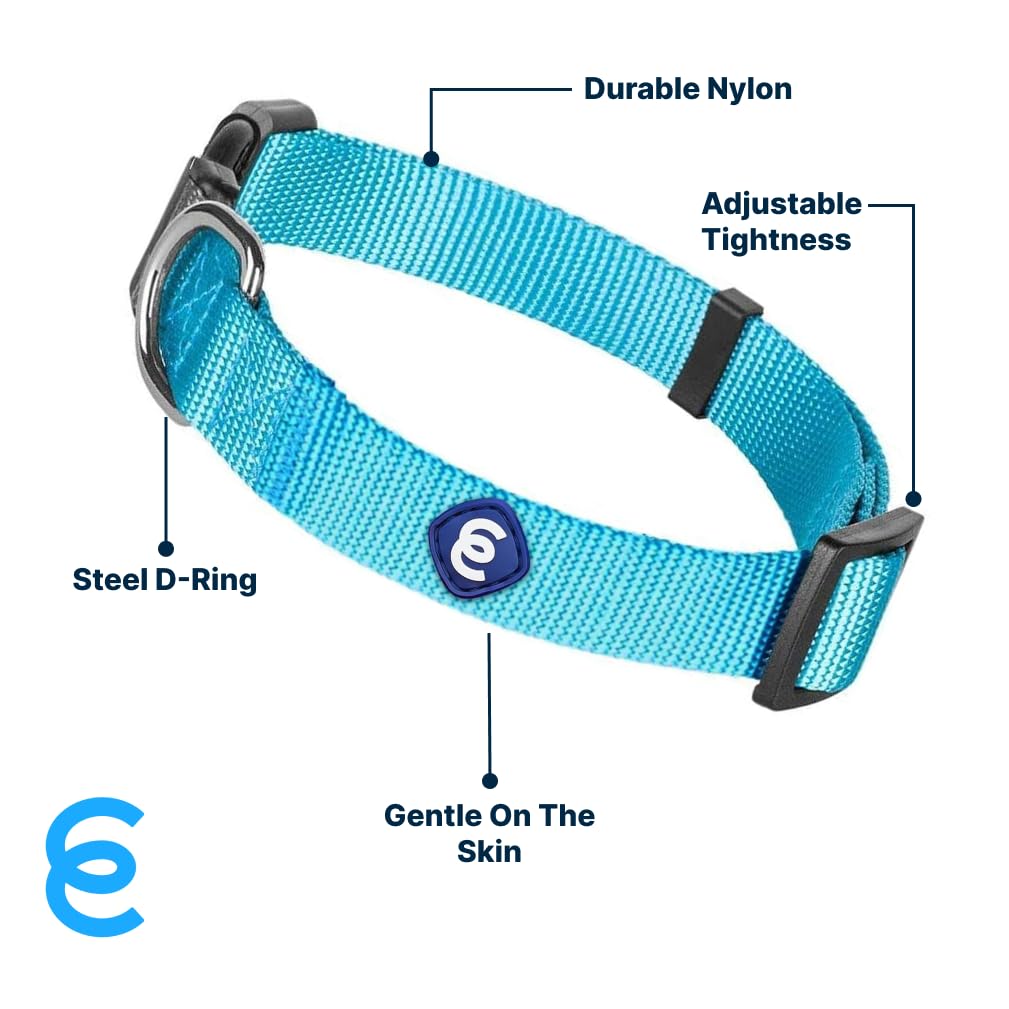 Blueberry Pet Essentials Matching Small Dog Collar | Adjustable Classic Solid Color Nylon Dog Collars For Small Dogs | Turquoise Dog Collar For Small Dogs