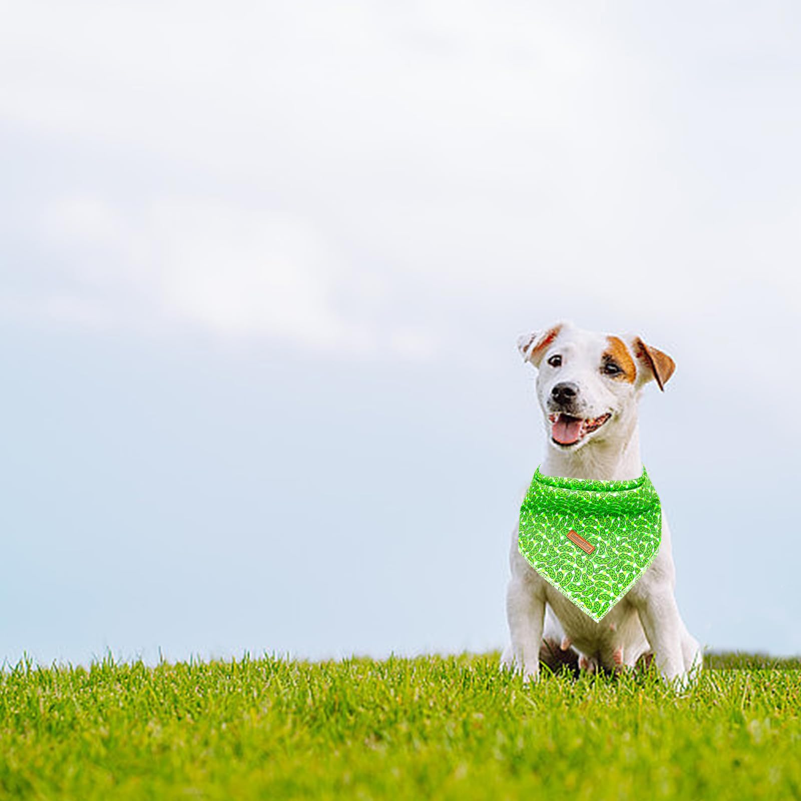 Lionheart Soft Green Cucumber Dog Scarf, Adjustable Square Bandana For Medium To Large Dogs
