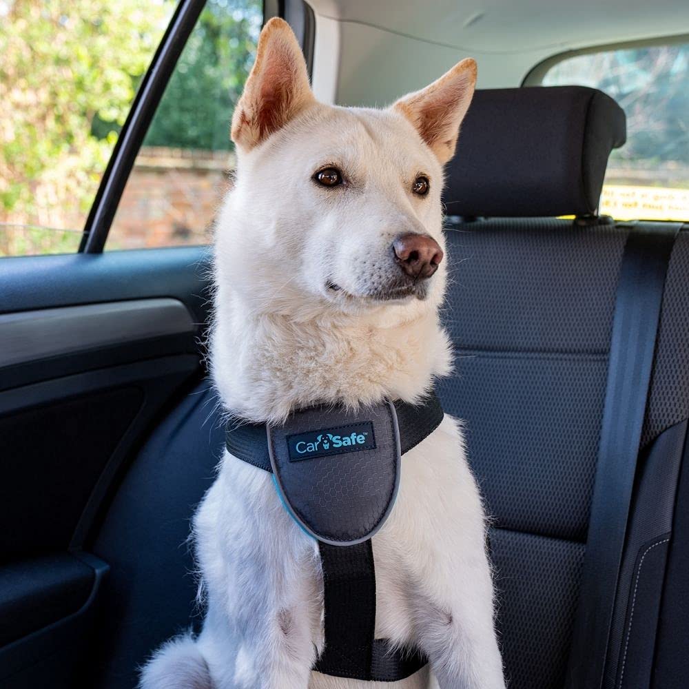 Carsafe Dog Travel Harness - Safely Secure Dog In Car, Ensures Road Laws And Insurance Terms When Travelling With Your Pet. For Toy, Small, Medium And Large Dogs (Size Medium)