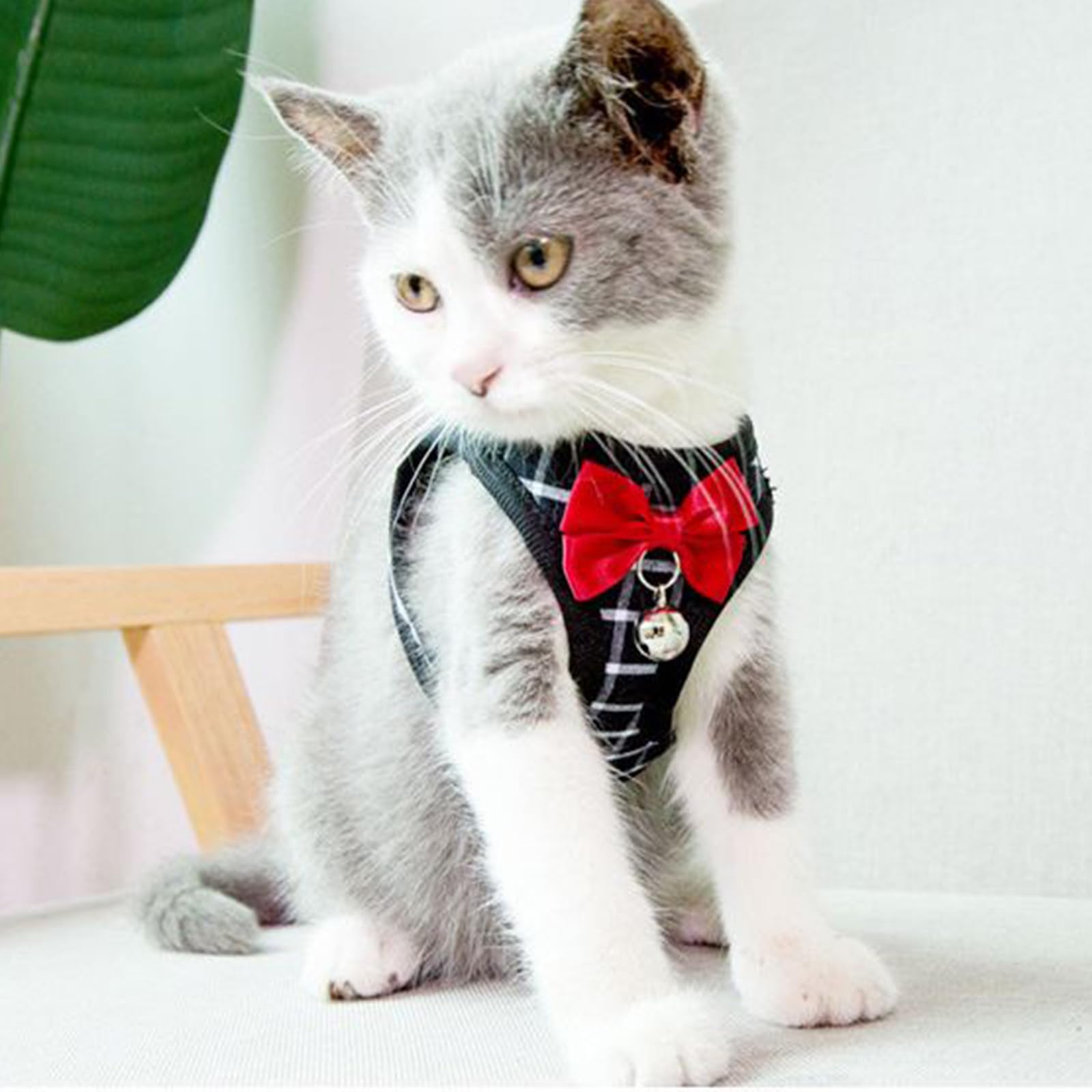Cat Leash And Harness Set,Breathable Dog Harness,Pet Harness,Adjustable Mesh Cat Harness And Leash Escape Proof For Puppy Cat Ra
