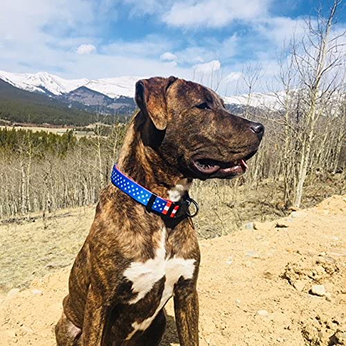 Native Pup American Flag Dog Collar (Medium, Flag I)