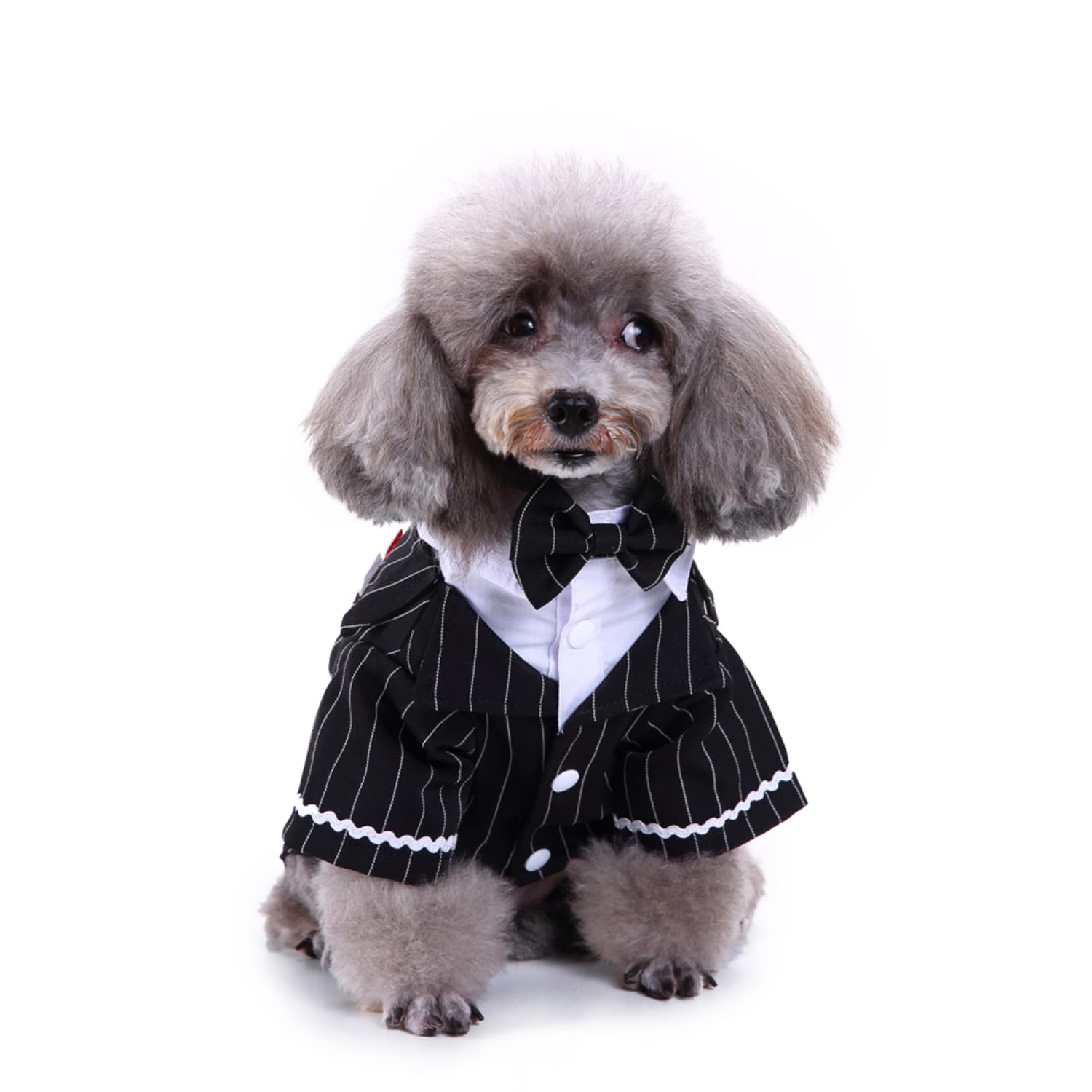 Gentleman Dog Shirt Puppy Pet Small Dog Clothes,Pet Suit Bow Tie Costume, Cat Wedding Shirt Formal Tuxedo With Black Tie, Dog Prince Wedding Bow Tie Suit (S, Black)