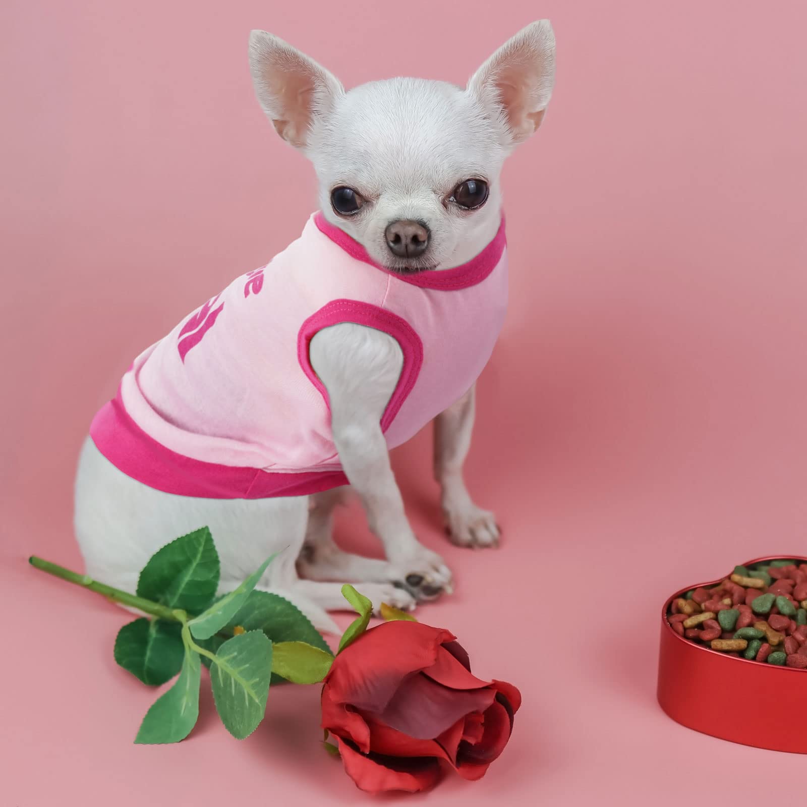 Reginary 8 Pieces Pet Shirts Summer Printed Puppy Dog Shirt Soft Pullover Cute Dog Sweatshirts Puppy Girl Female Clothes Outfits