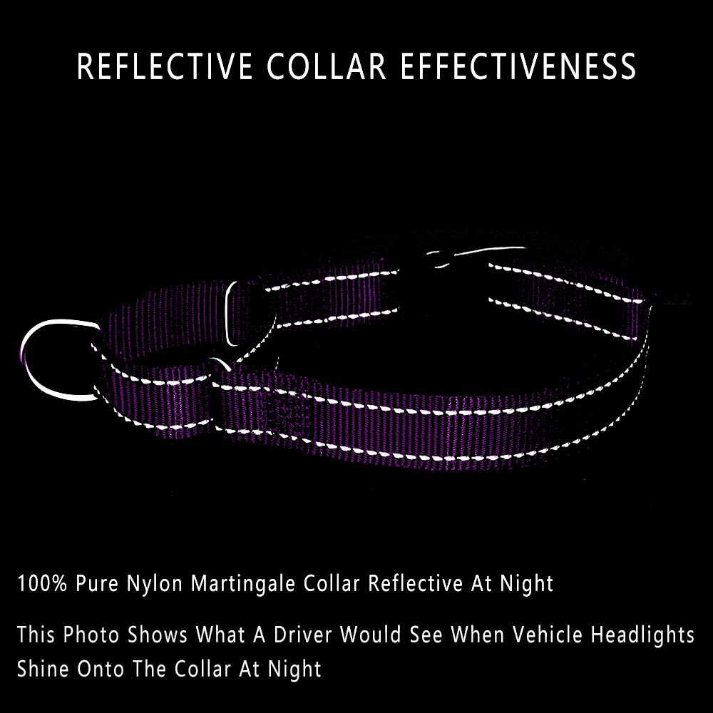 Plutus Pet Reflective Martingale Collar With Quick Snap Buckle,No Pull Dog Choker Collar For Small Medium Large Dogs,Xs,Purple