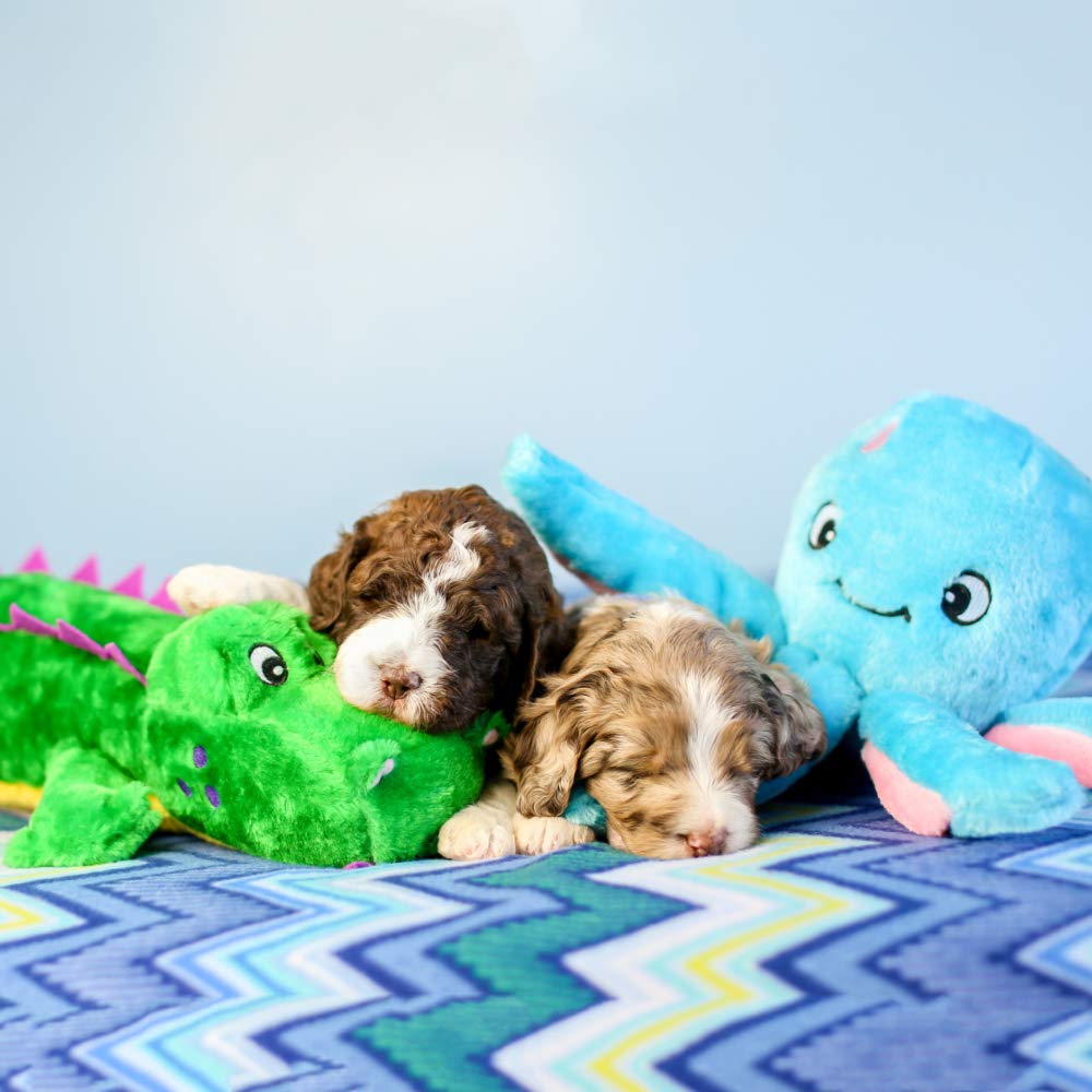 Zippypaws - Grunterz Grunting Plush Large Dog Toy - Alvin The Alligator