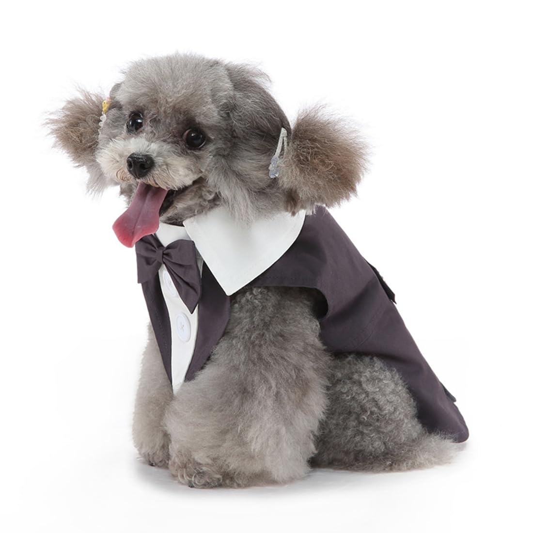 Doteyayp Puppy Tuxedo With Detachable Bowtie Prom Wedding Formal Wear Prince Costume For Small Dog (Large, Grey)