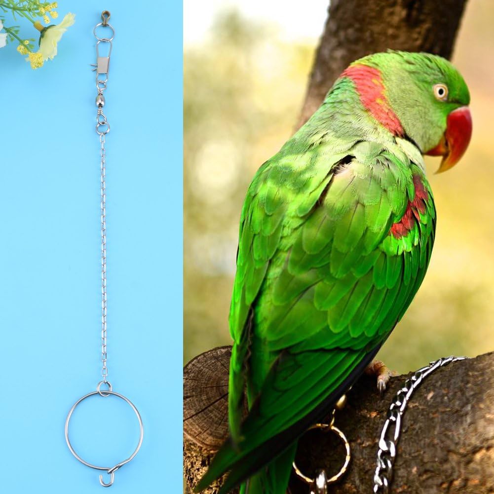 Parrot Foot Ring, Bird Anklet Chain Stainless Steel Bird Leash Parrot Opening Activity Ring Bird Stand Anklet Pet Bird Supplies