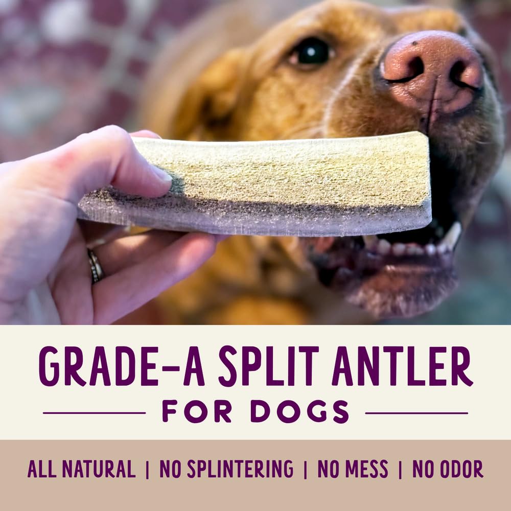 Health Extension Natural Elk Antlers for Dogs, Small Sliced - Long-Lasting Chews for Aggressive Chewers, Dental Health Promotion