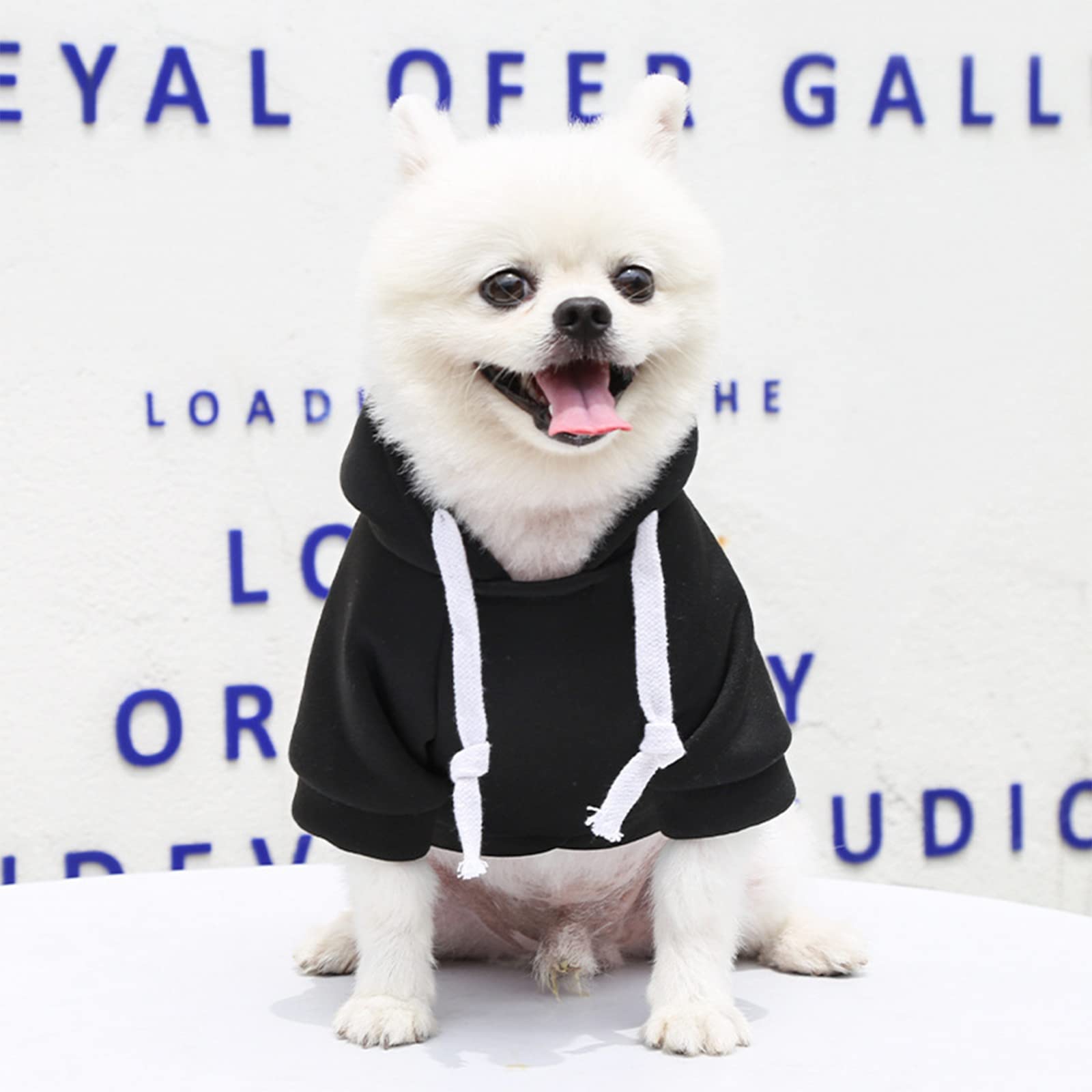 Petcare Dog Hoodies Pet Small Dog Sweater Black Warm Soft Fleece Sweatshirts With Pocket Winter Puppy Cat Sweaters Hooded Clothe