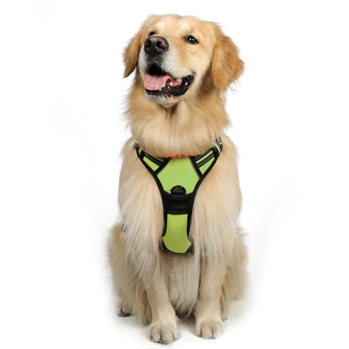 Rabbitgoo Dog Harness, No-Pull Pet Harness With 2 Leash Clips, Adjustable Soft Padded Dog Vest, Reflective No-Choke Pet Oxford Vest With Easy Control Handle For Large Dogs, Wild Lime, L