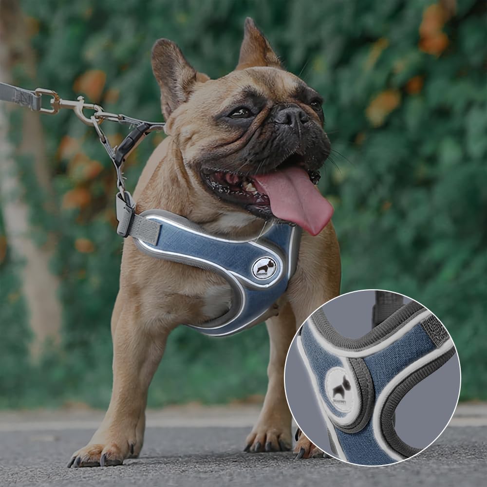 Dog Harness With Leash Set, No Pull Adjustable Step In Dog Collars Harness With Breathable Padded Vest Harness For Small Medium