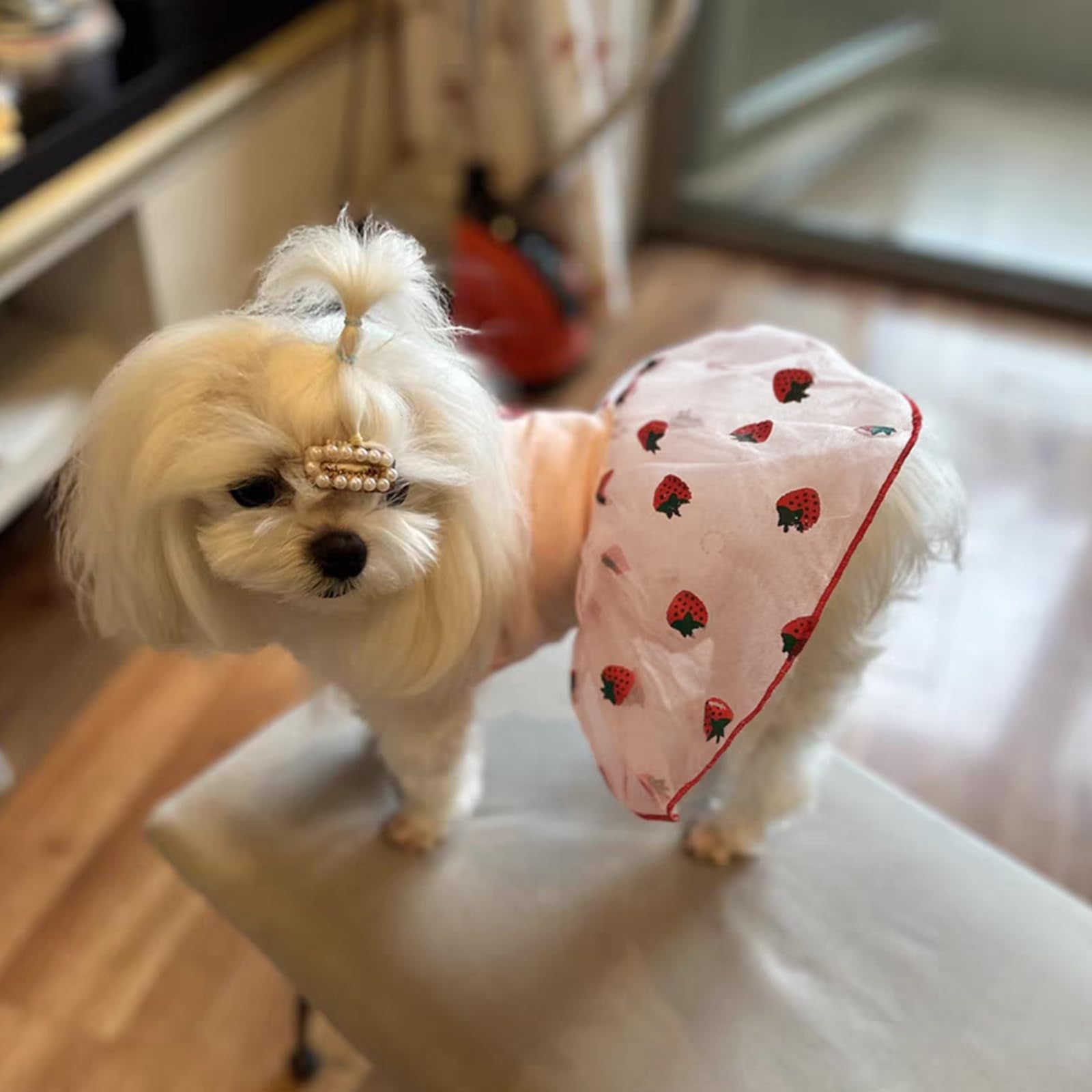 Pink Strawberry Dog Cat Dress For Small Dogs Girl Cute Dog Princess Dresses Puppy Tutu Skirt Chihuahua Teddy Pomeranian Sundress