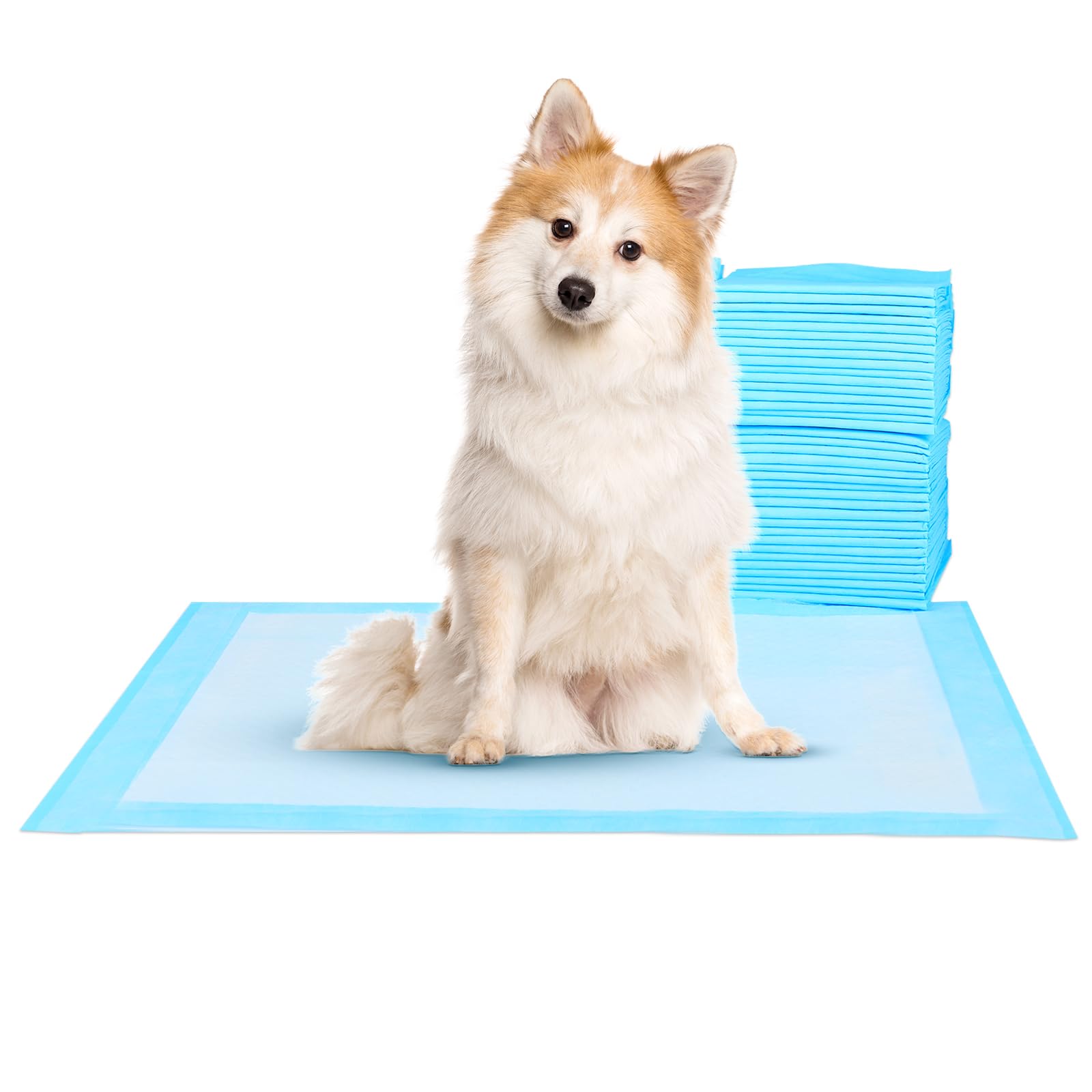 Super-Absorbent Waterproof Dog and Puppy Pet Training Pad, Housebreaking Pet Pad,Blue (30X36(100PCS))