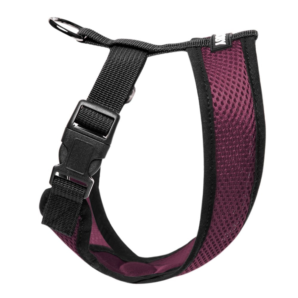 Gooby Comfort X Head In Harness - Purple, Small - No Pull Small Dog Harness Patented Choke-Free X Frame - Perfect On The Go Dog Harness For Medium Dogs No Pull Or Small Dogs For Indoor And Outdoor Use