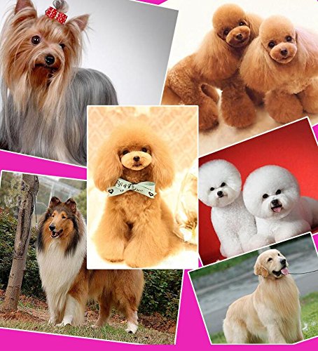 Ouzen Dog Comb Pet Stainless 2 In 1 Steel Grooming Dematting Hair Comb