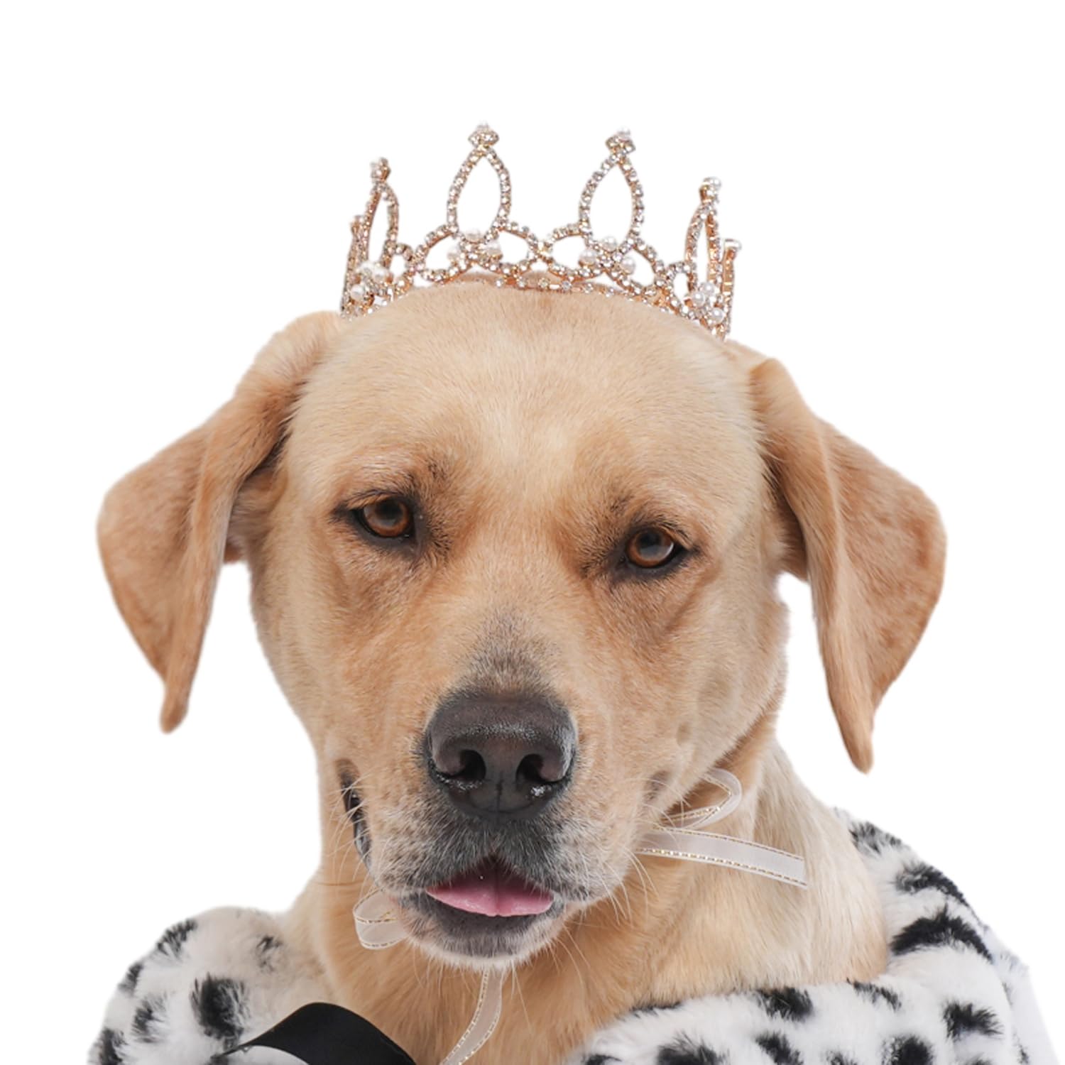 Lovelyshop Pet Series Gold Plated Royal Rhinestone Pearl Full Round Dog/Cat Crown For Rolyal Family Costume Hair Accessories-Xla