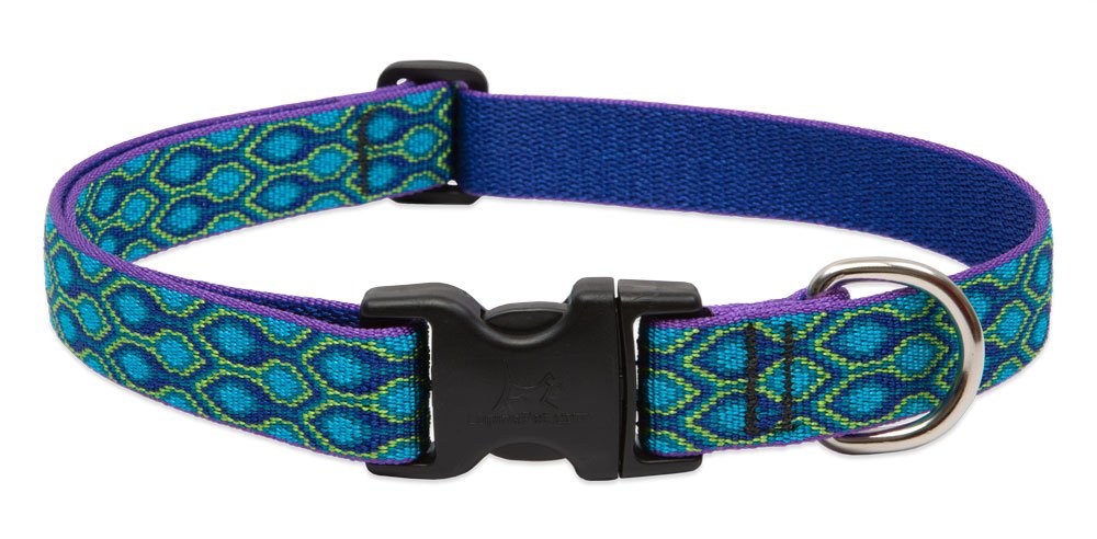 Lupinepet Originals 1' Rain Song 12-20' Adjustable Collar For Medium And Larger Dogs