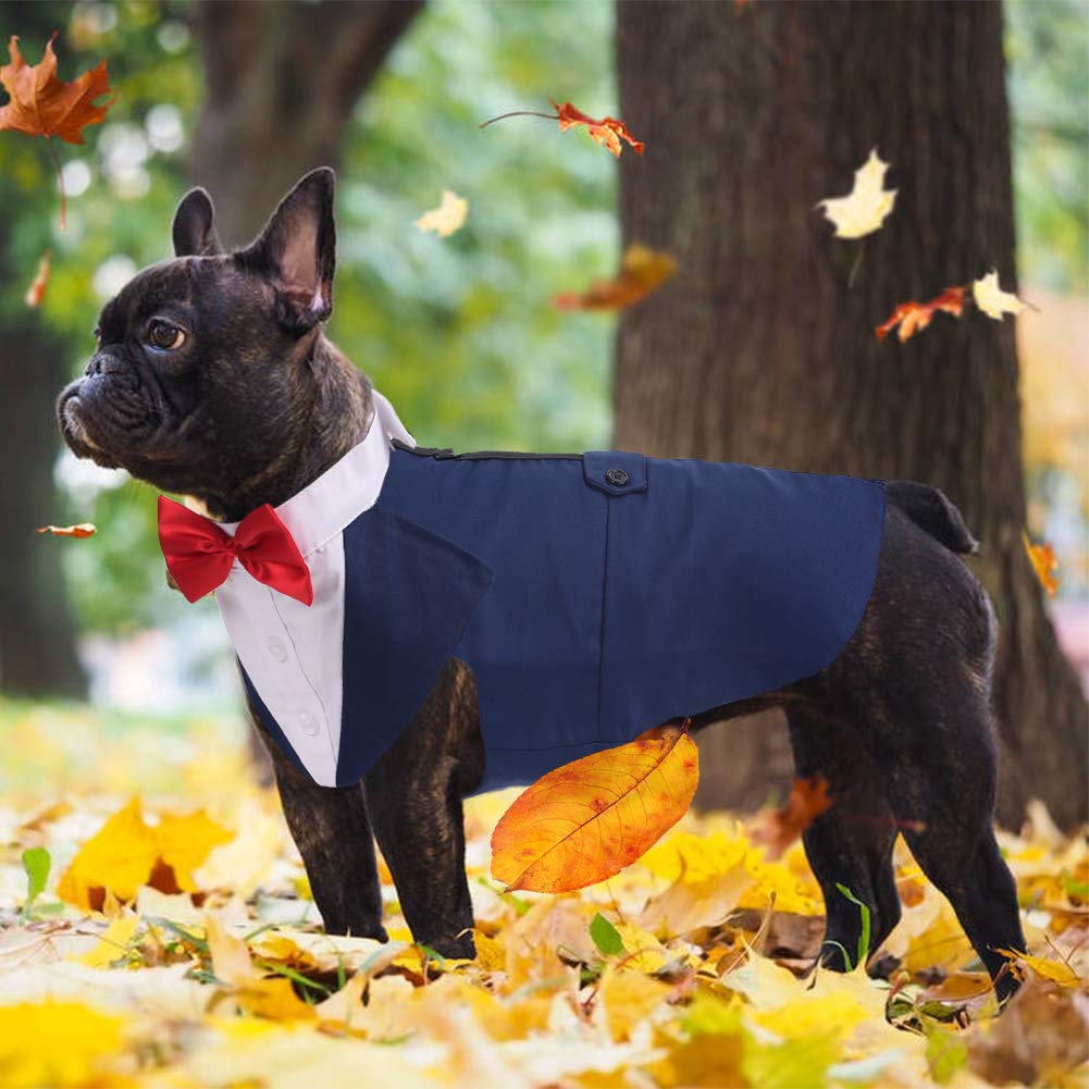 Qbleev Dog Tuxedo For Large Dogs, Dog Suit And Bandana Set, Dog Wedding Outfit With Bow Tie, Formal Dog Tux Dog Costume Halloween Dog Christmas Outfit For Birthday Party Cosplay, Blue Xl