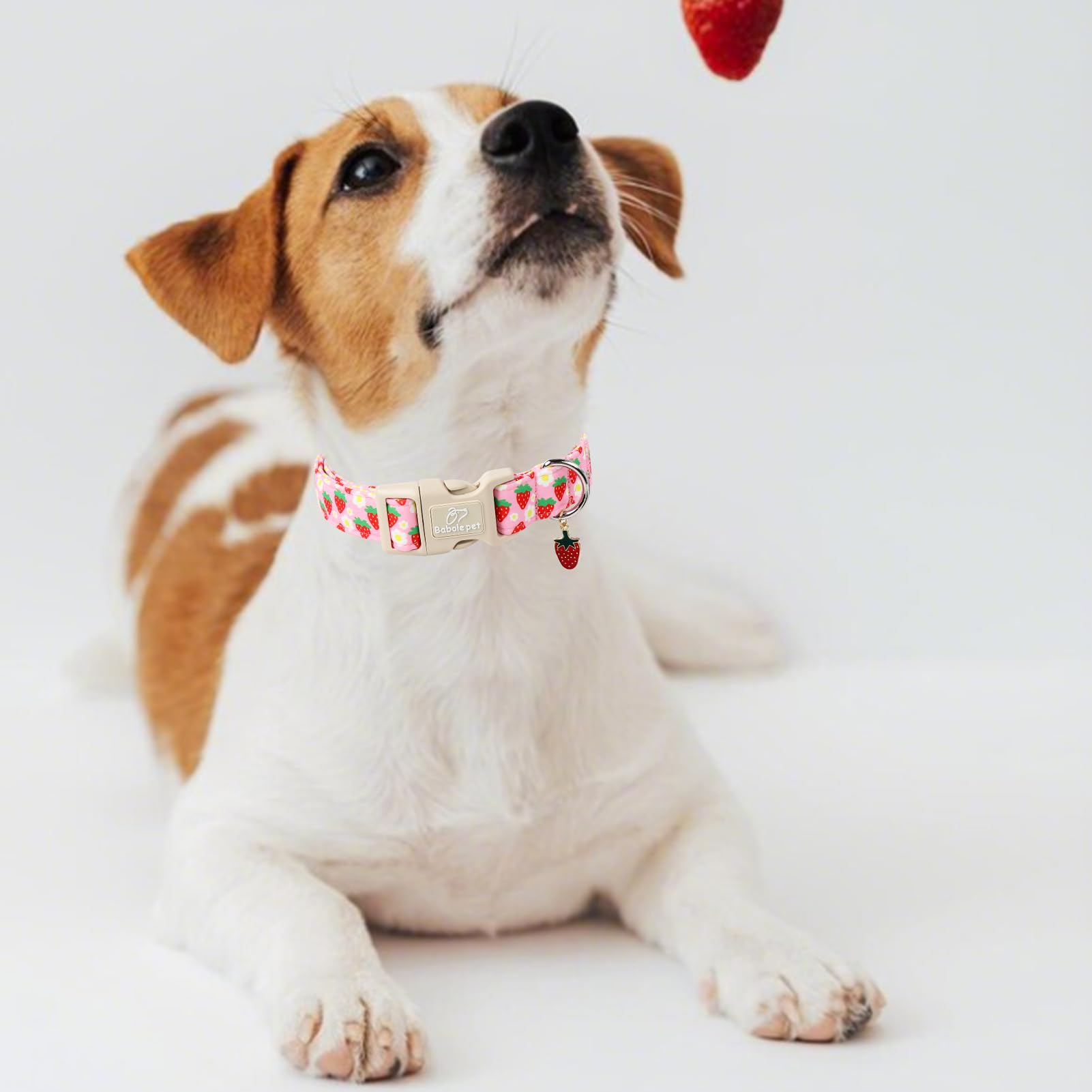 Babole Pet Cute Spring/Summer Dog Collar, Adjustable Pink Strawberry Dog Collars For Medium Dogs, Lightweight Quick-Release Buck