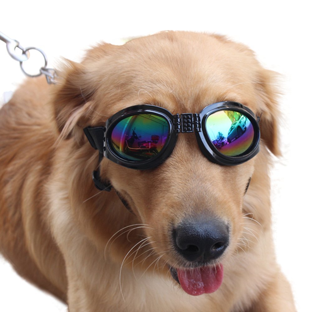 Pet Glasses Dog Sunglasses Dog Glasses Golden Retriever Samoyed Sunglasses Goggles Big Dog Sunglasses (Black)