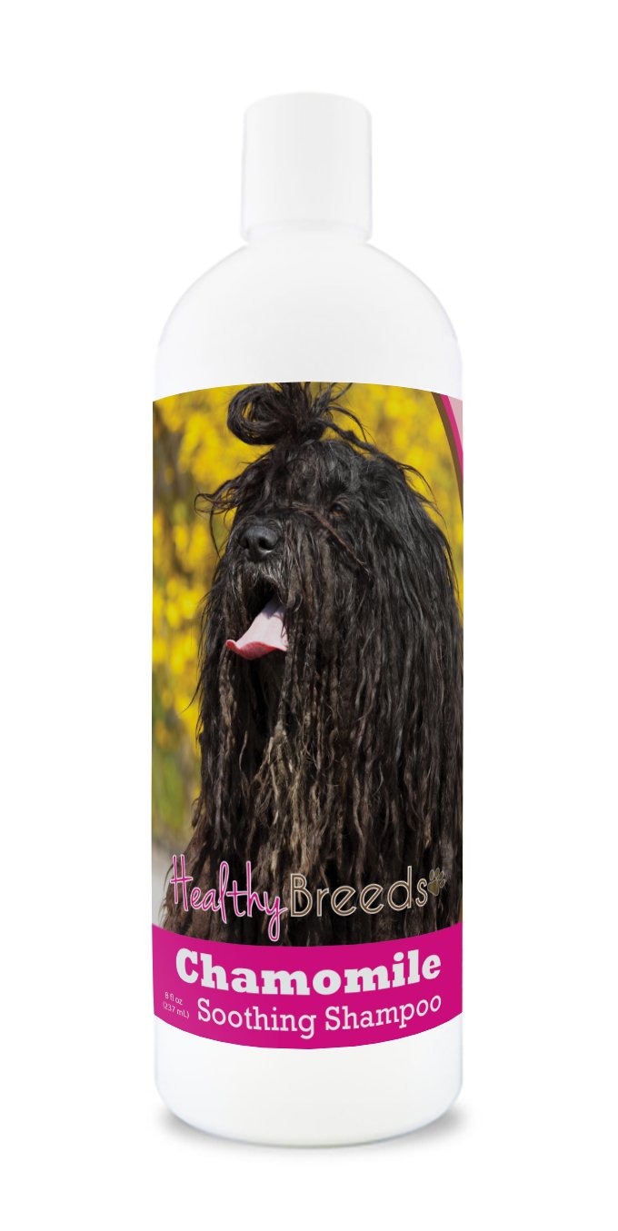 Healthy Breeds Bergamasco Chamomile Soothing Dog Shampoo 8 oz
