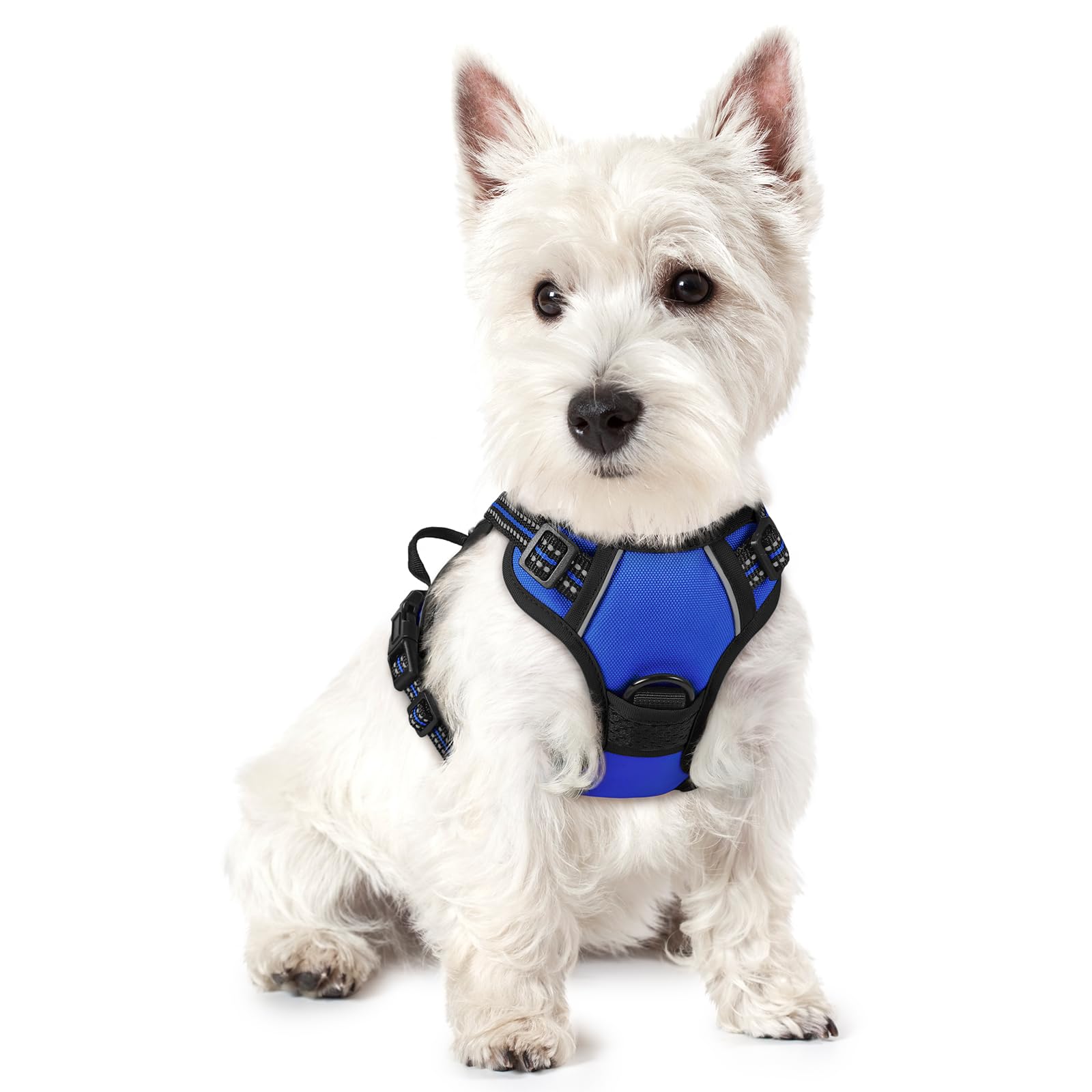 Rabbitgoo Dog Harness, No-Pull Pet Harness With 2 Leash Clips, Adjustable Soft Padded Dog Vest, Reflective No-Choke Pet Oxford Vest With Easy Control Handle For Small Dogs, Dazzling Blue,Xs
