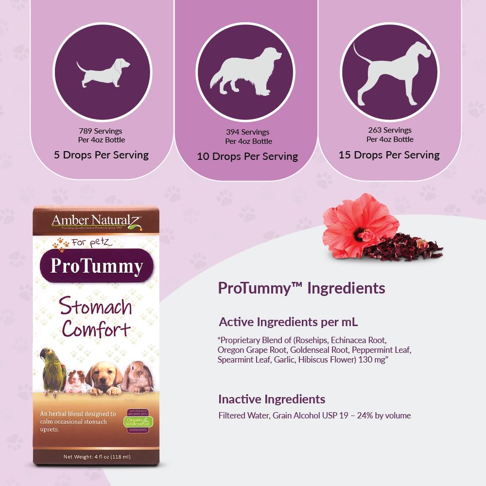 AMBER NATURALZ ProTummy Herbal Supplement for Dogs & Small Pets | 4 oz Glass Bottle | Stomach Comfort Blend